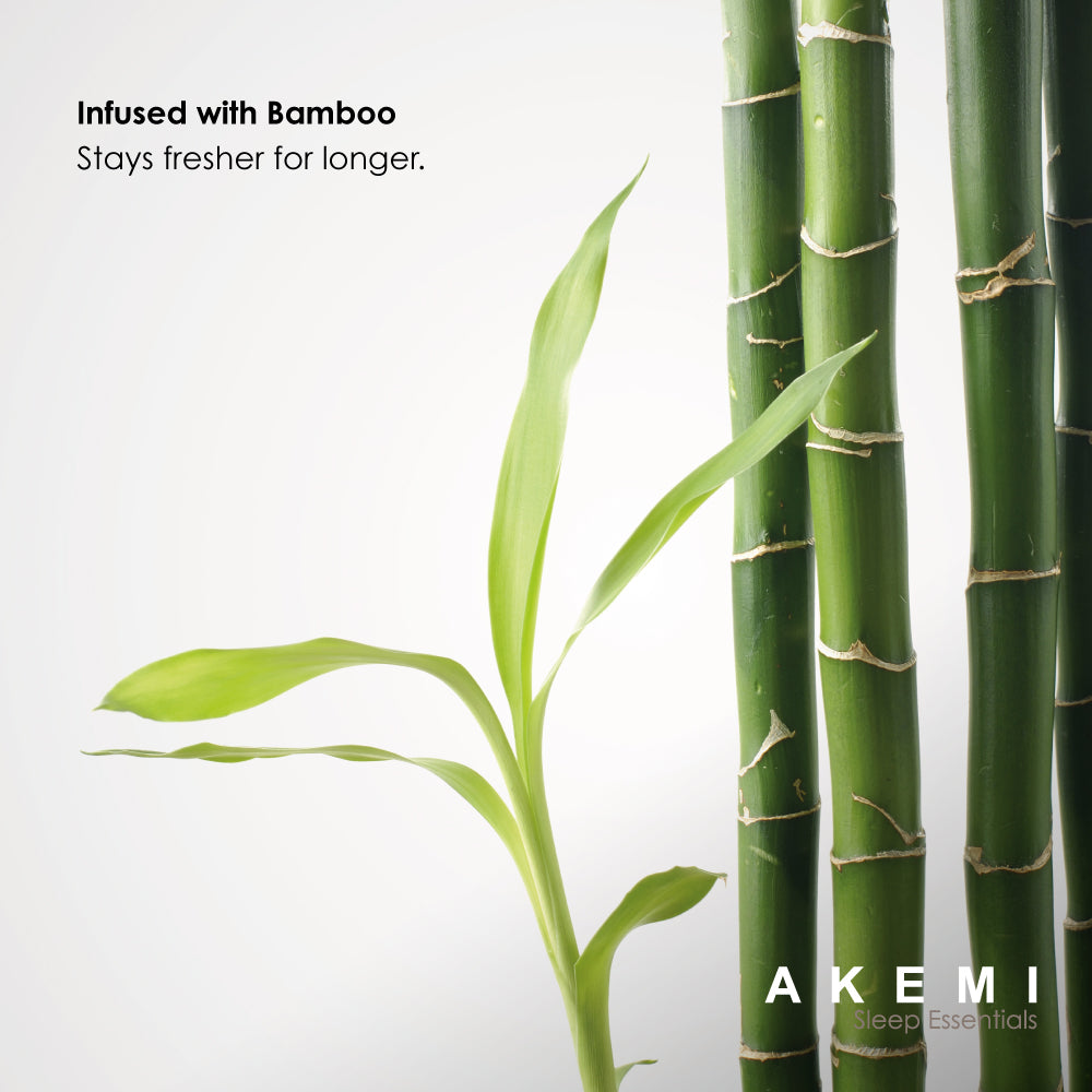 [ราคาโปร] Akemi หมอนหนุน รุ่น Charcoaled Bamboo Visco Elastic (New)